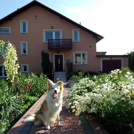 Agroturystyka U Basi Wola Kalinowska Экстерьер фото